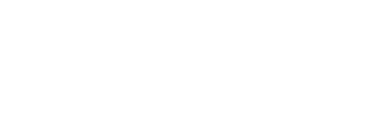 Logo GIE France Sud 